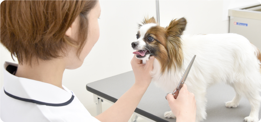 トリミングの様子